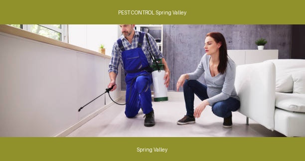PEST CONTROL Spring Valley